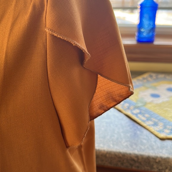 Golden Brown Blouse - Picture 3 of 5
